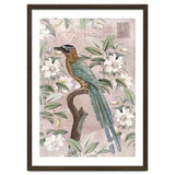 Exotic Bird thumbnail