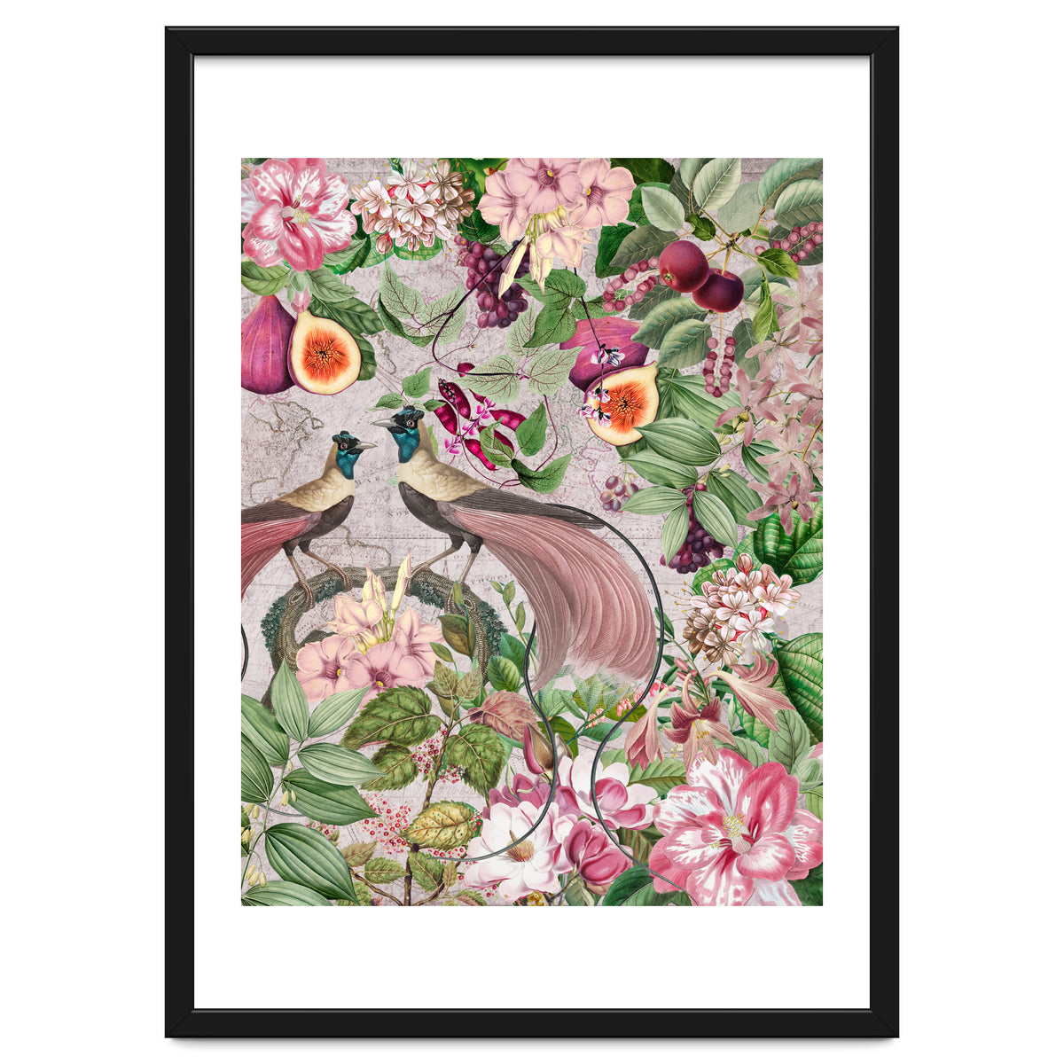 Vintage Birds Of Paradise Jungle