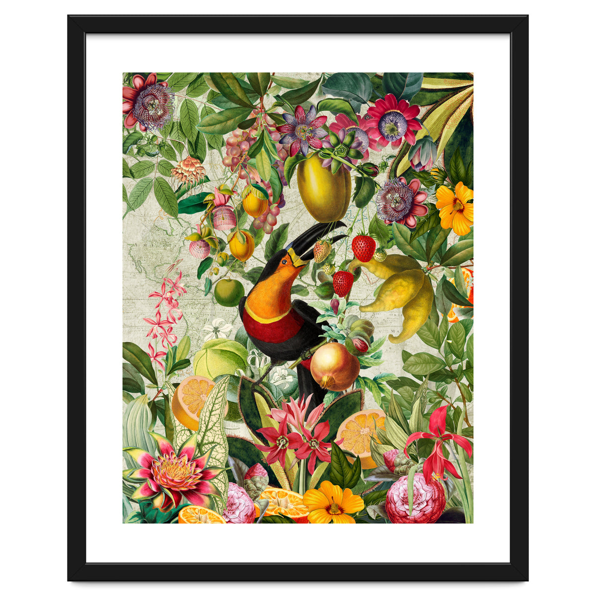 Toucan vintage jungle 1