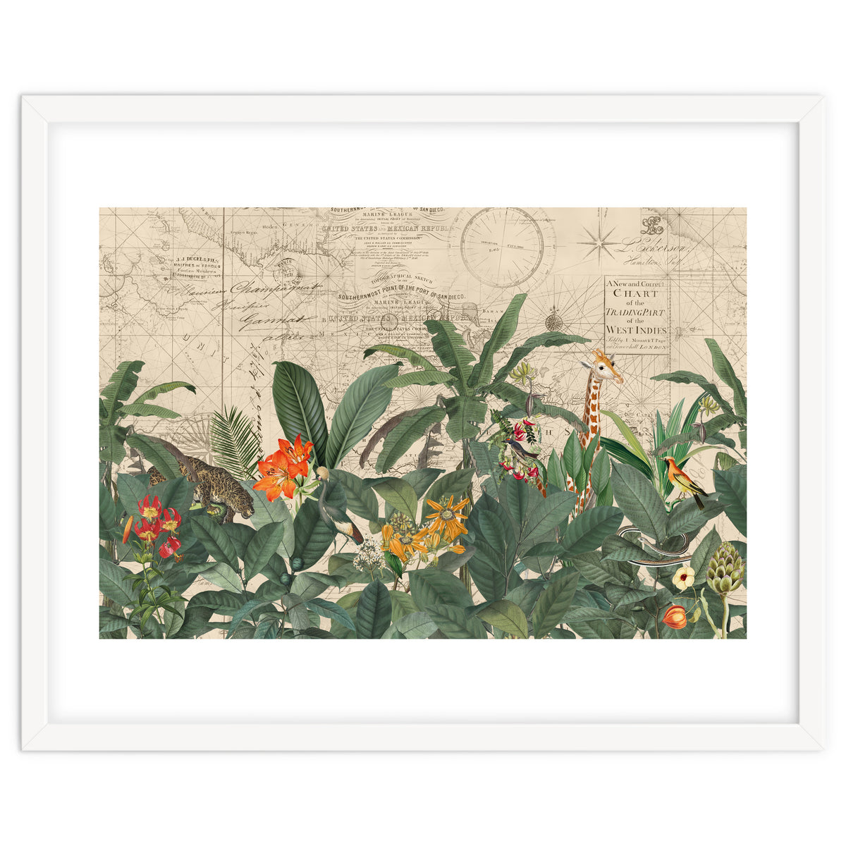 Explore The New World Wild Animals