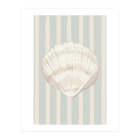 Sea shell (Print Only)