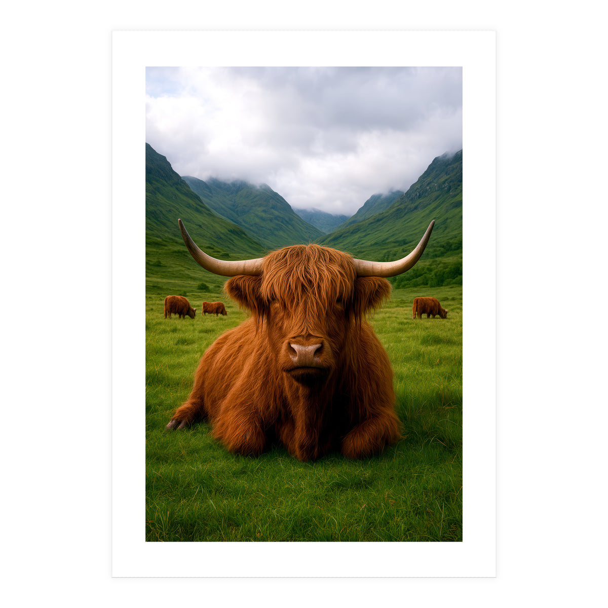 Highland Cow in Scotland (Print Only)