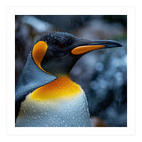 Close Up Of King Penguin In The Rain (Print Only) thumbnail