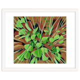 Meadow at spring thumbnail