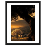 The Hill thumbnail