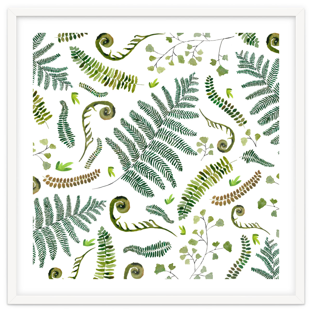 Spring Fern Pattern