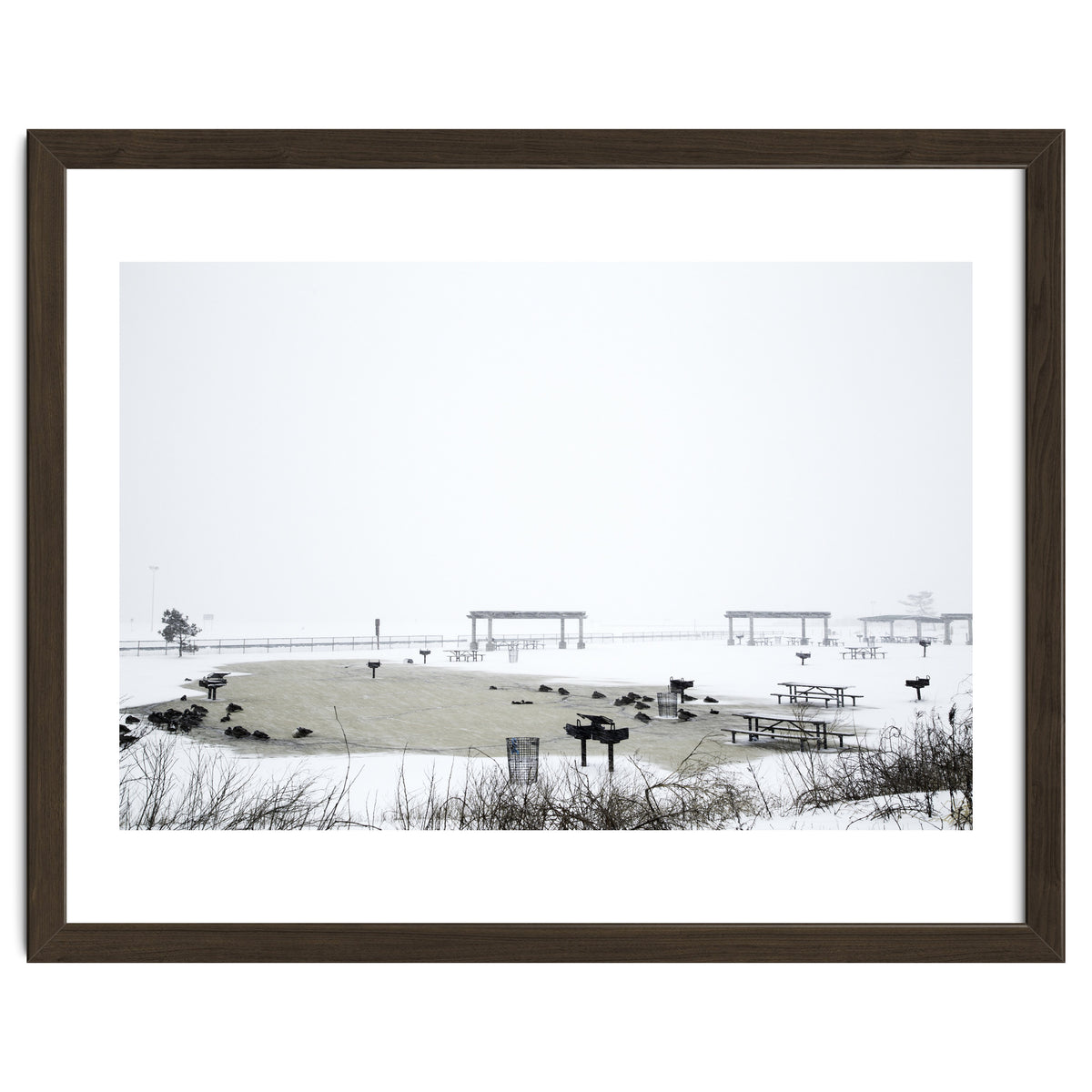 Blackbirds surrounding a frozen pond in winter
