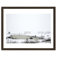 Blackbirds surrounding a frozen pond in winter