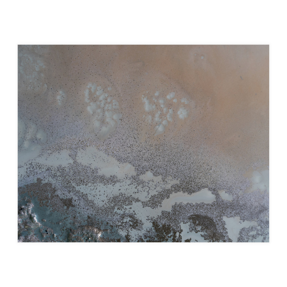 Edge Of Life (Print Only)