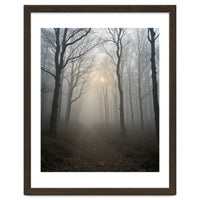 Ethereal Morning Light Breaking Through Dense Forest Fog