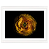 Backyard Flowers No 72 Color Version thumbnail