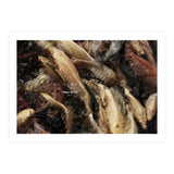 Fish01 (Print Only) thumbnail