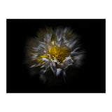 Backyard Flowers No 25 Color Flow Version (Print Only) thumbnail