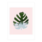 Monstera (Print Only) thumbnail
