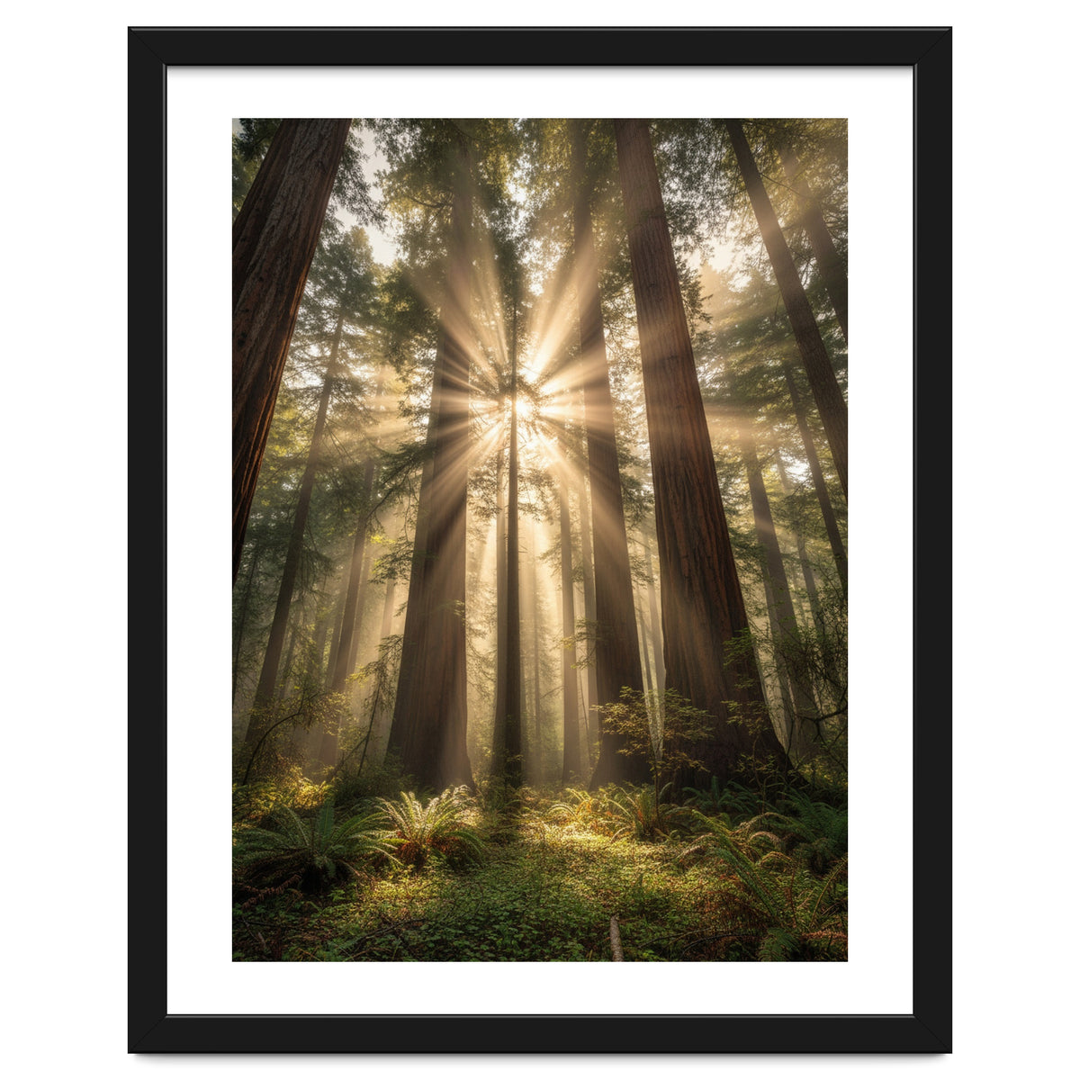 Ethereal Redwood Sanctuary: Sunbeams in the Ancient Forest