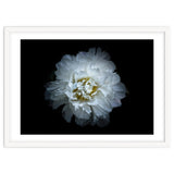 Backyard Flowers No 90 Color Version thumbnail