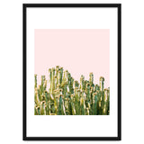 Cactus Blush #society6 #decor #buyart thumbnail