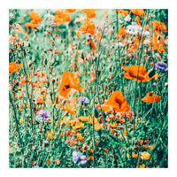 Eva | Nature Floral Meadow Garden | Photography Botanical Spring Bohemian Flowers (Print Only)