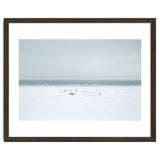 Seagulls in the Snow beach thumbnail