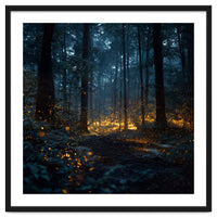 Enchanted Midnight Forest with Glowing Fireflies