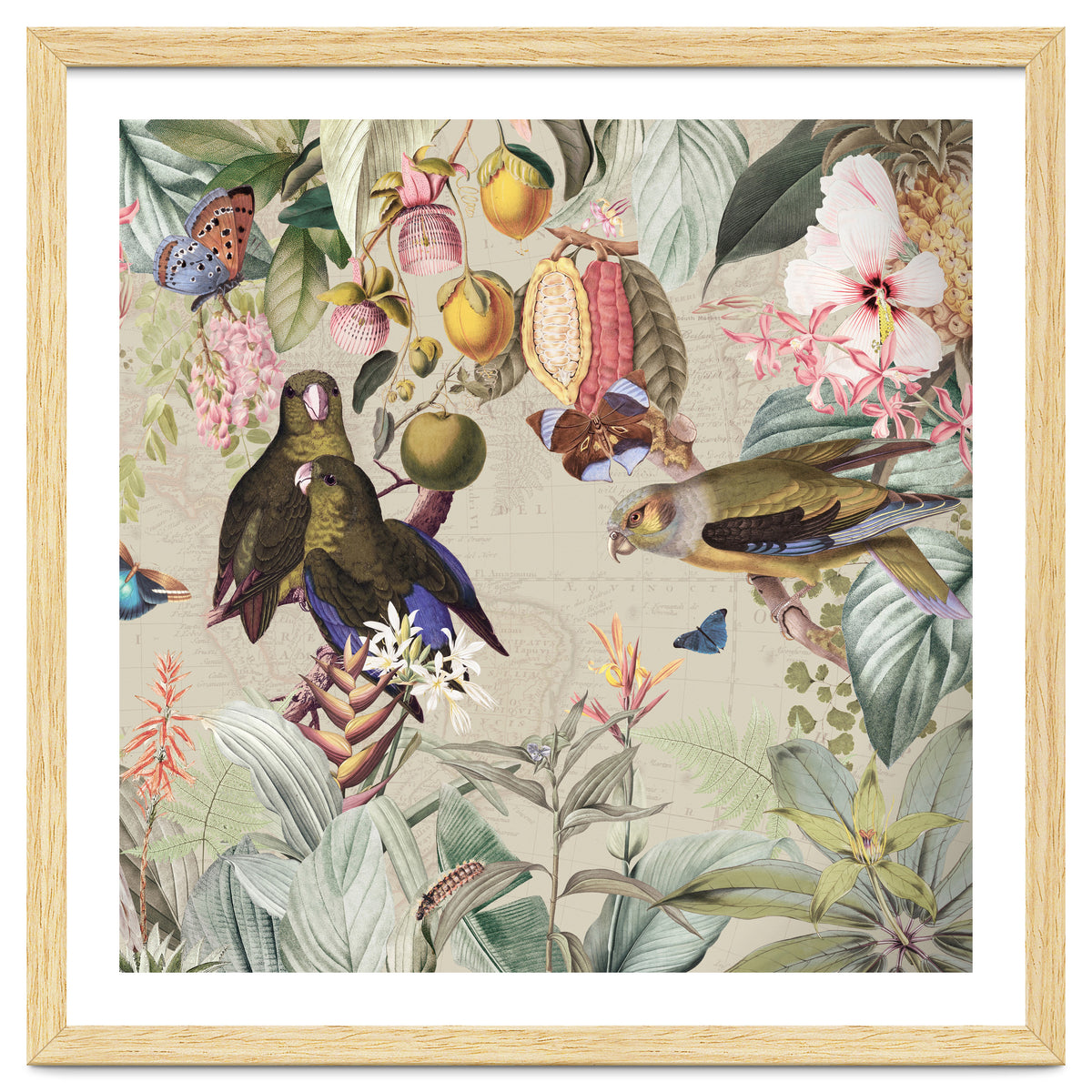 Colorful Parrots And Butterflies In Flower And Fruit Tropical Jungle