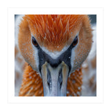 Close Up Of A Pelican's Beak With Water Droplets (Print Only) thumbnail