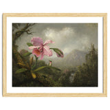 Martin Johnson Heade (Lumberville, 1819-St. Augustine, 1904). Orchid and Hummingbird near a Water... thumbnail