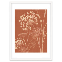 Wildflowers II