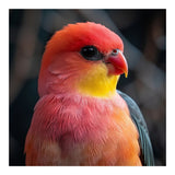 Vibrant Tropical Bird  (Print Only) thumbnail