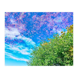 Changing Seasons (Print Only) thumbnail
