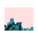 Kaktos (Print Only) thumbnail