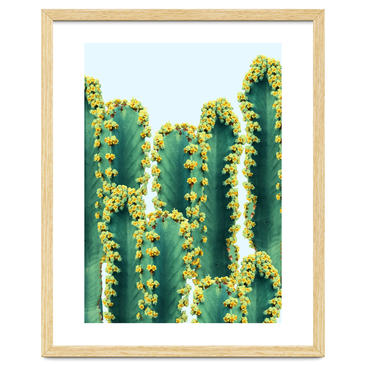 Adorned Cactus #society6 #artprints #buyart