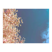 Leaves And Sky (Print Only)