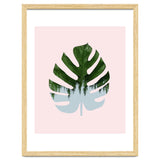 Monstera thumbnail