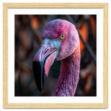 Close Up Of A Pink Flamingo Bird Face thumbnail