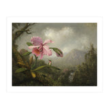 Martin Johnson Heade (Lumberville, 1819-St. Augustine, 1904). Orchid and Hummingbird near a Water... (Print Only) thumbnail