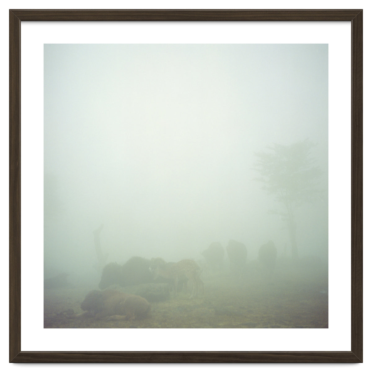 Silence of breath - 03