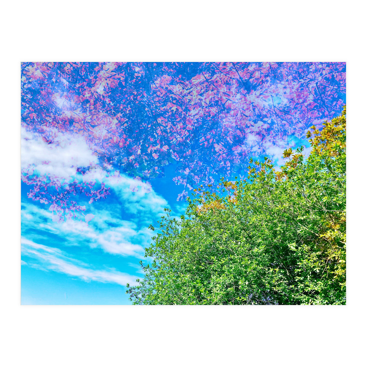 Changing Seasons (Print Only)