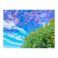 Changing Seasons (Print Only)