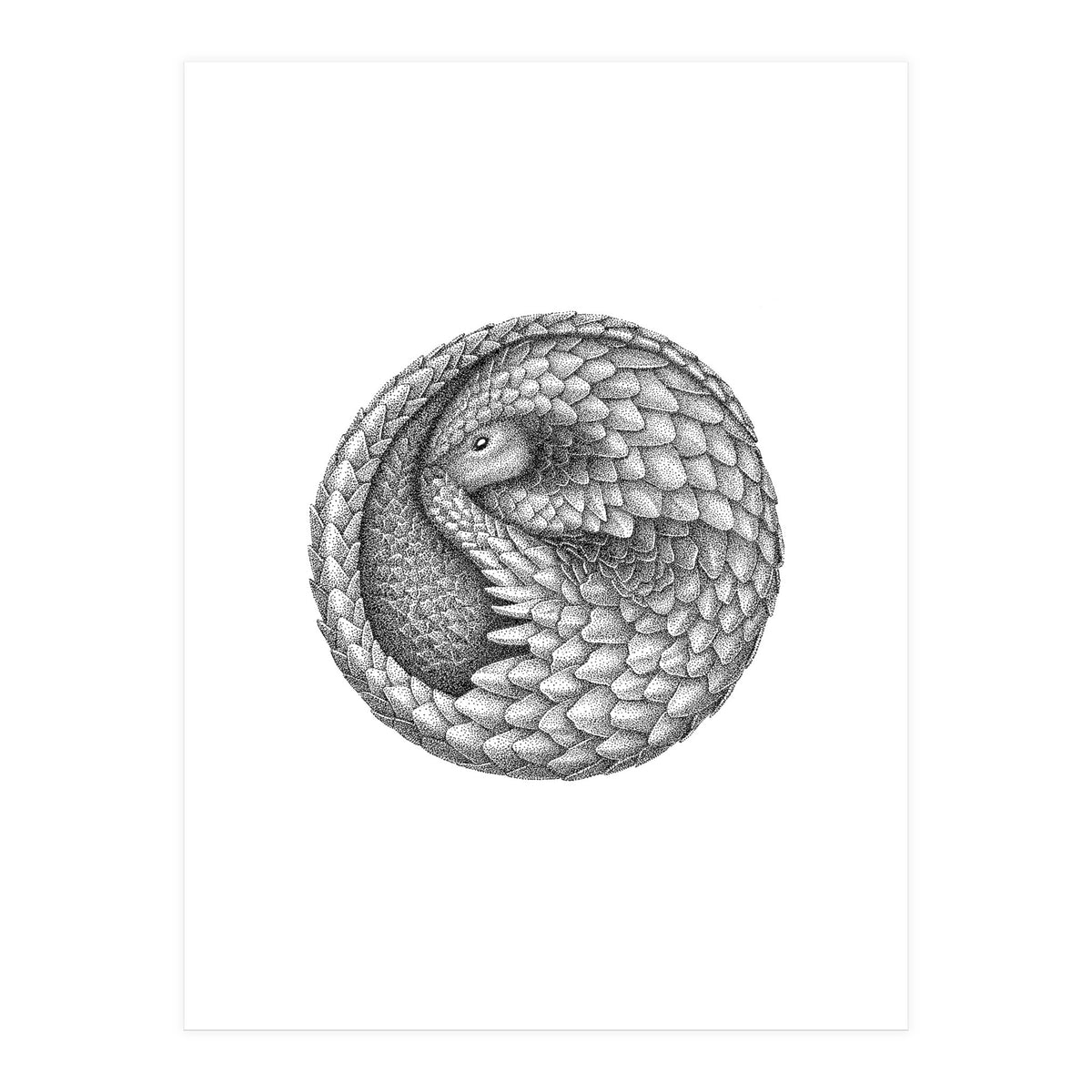 Pangolin no. 2 (Print Only)