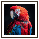 Scarlet Macaw Parrot Detailed Feather Close Up Portrait thumbnail