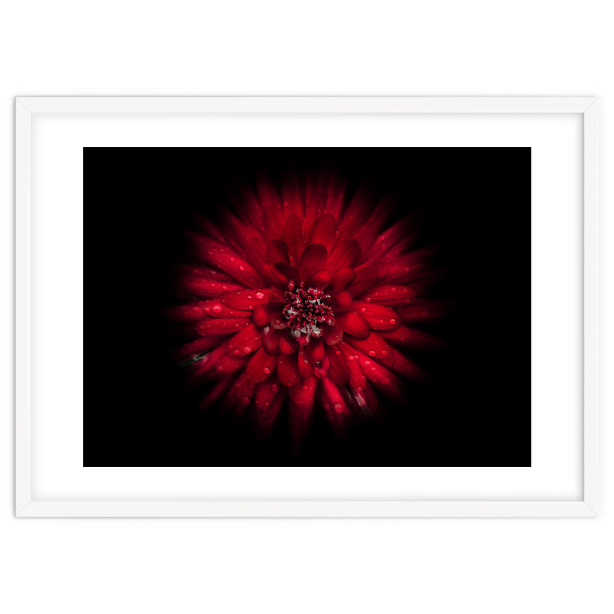 Backyard Flowers No 45 Color Flow Version