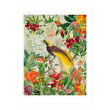 Bird of paradise vintage jungle  (Print Only) thumbnail