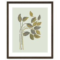 Olivia muted botanical oils