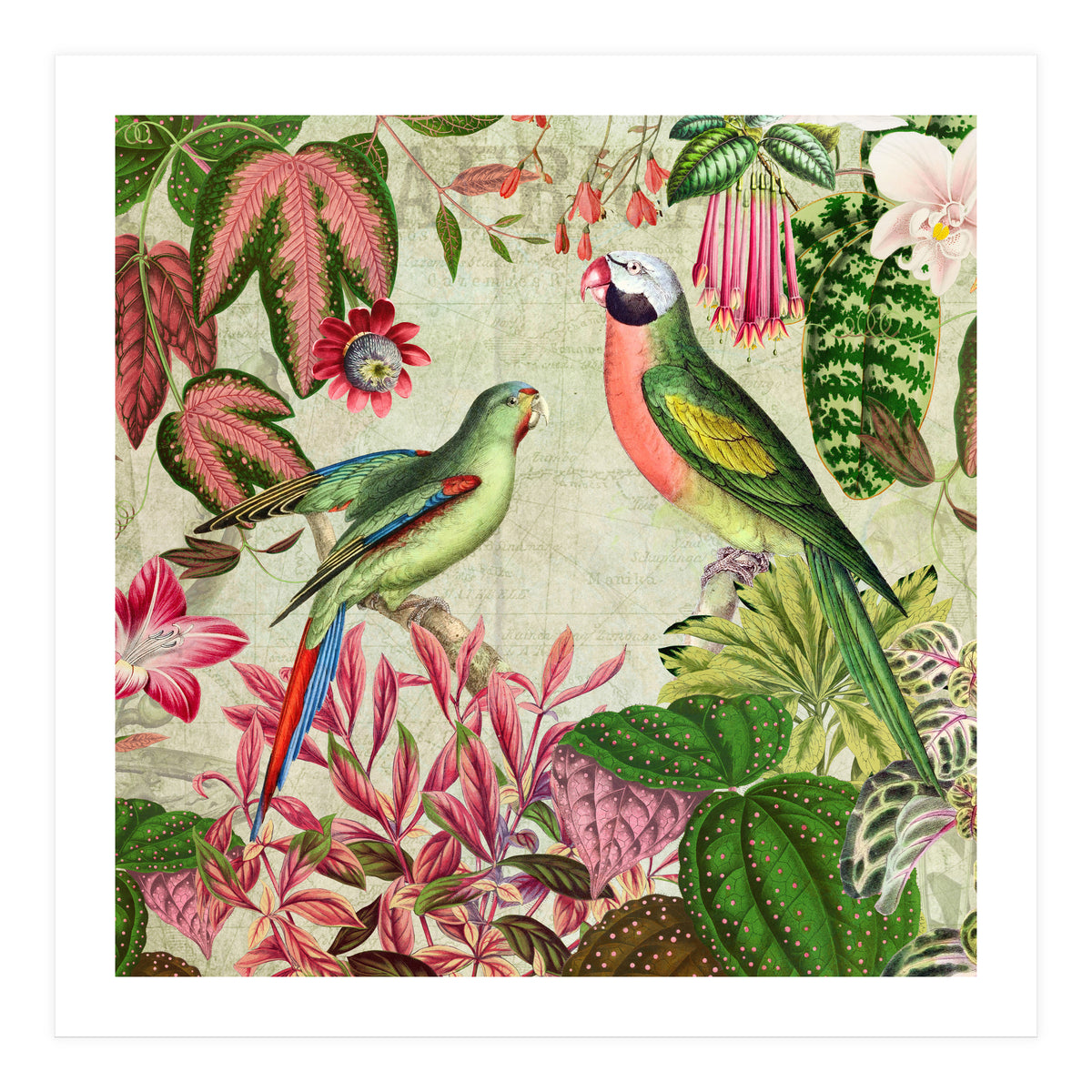 Exotic Lush Rainforest With Colorful Parrots And Flowers (Print Only)