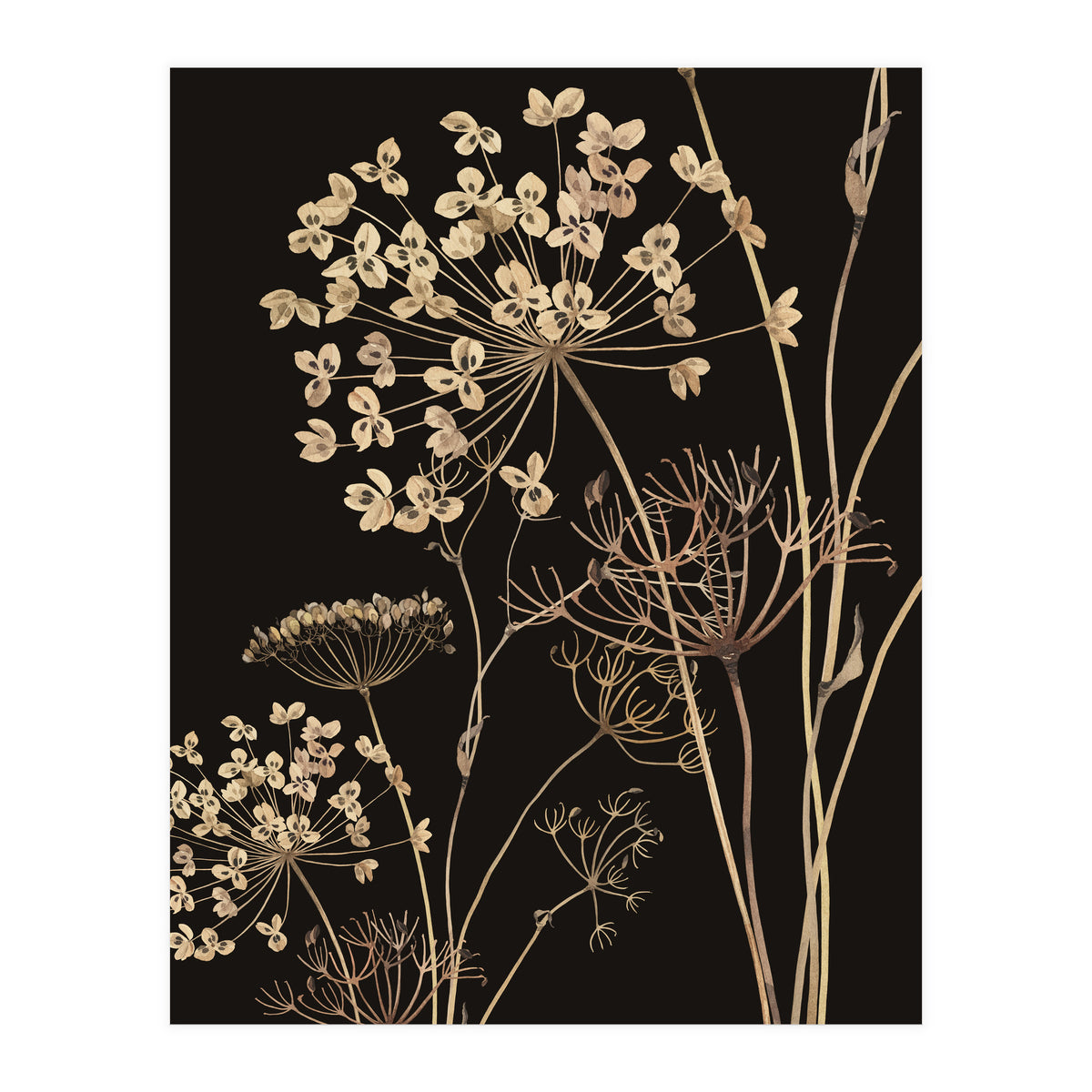 Wildflowers I (Print Only)