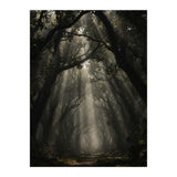 Enchanted Canopy: Mystical Forest Path (Print Only) thumbnail