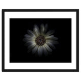 Backyard Flowers No 27 Color Version thumbnail