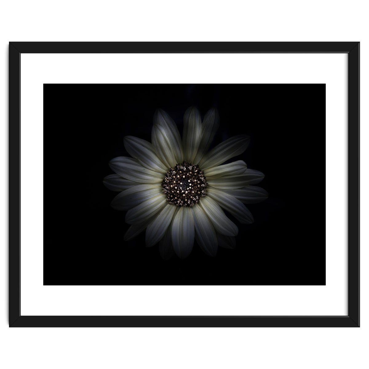 Backyard Flowers No 27 Color Version