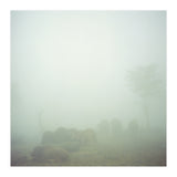 Silence of breath - 03 (Print Only) thumbnail